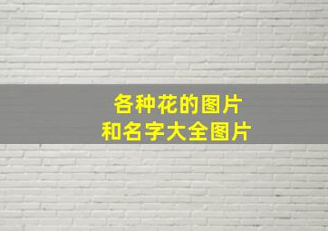 各种花的图片和名字大全图片