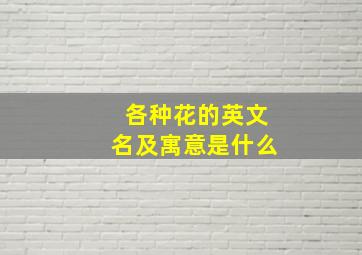 各种花的英文名及寓意是什么