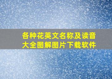 各种花英文名称及读音大全图解图片下载软件