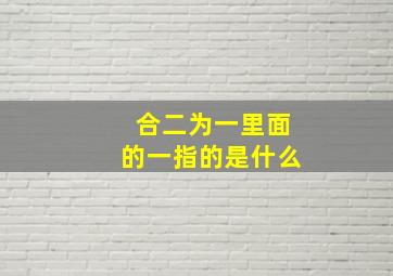 合二为一里面的一指的是什么