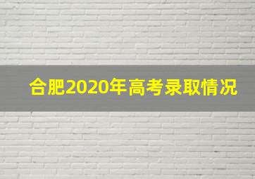 合肥2020年高考录取情况