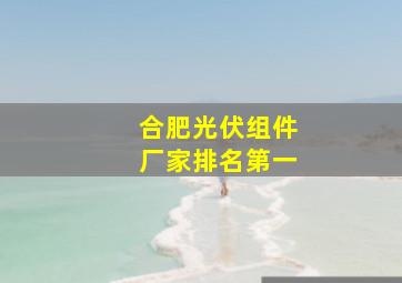 合肥光伏组件厂家排名第一