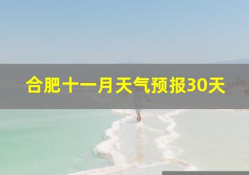 合肥十一月天气预报30天