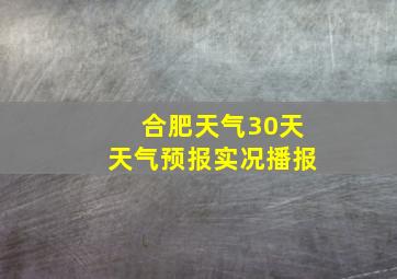 合肥天气30天天气预报实况播报