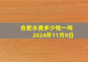 合肥水费多少钱一吨2024年11月9日