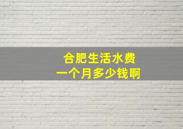 合肥生活水费一个月多少钱啊