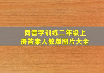 同音字训练二年级上册答案人教版图片大全