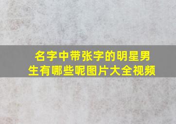 名字中带张字的明星男生有哪些呢图片大全视频