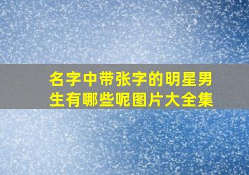 名字中带张字的明星男生有哪些呢图片大全集