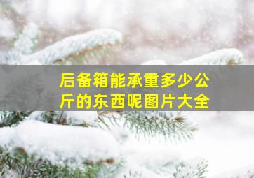 后备箱能承重多少公斤的东西呢图片大全