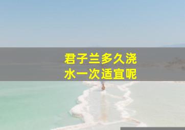 君子兰多久浇水一次适宜呢