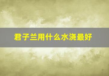 君子兰用什么水浇最好