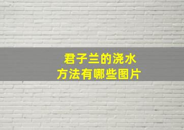 君子兰的浇水方法有哪些图片