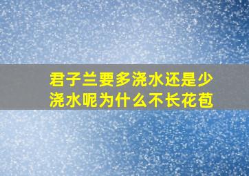 君子兰要多浇水还是少浇水呢为什么不长花苞