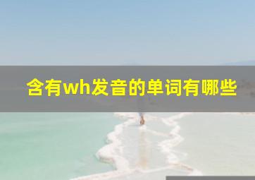 含有wh发音的单词有哪些