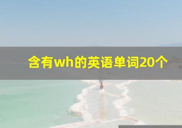 含有wh的英语单词20个