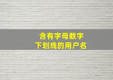 含有字母数字下划线的用户名