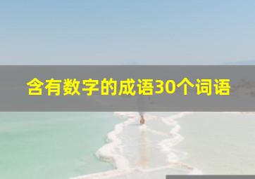 含有数字的成语30个词语