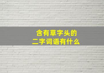 含有草字头的二字词语有什么