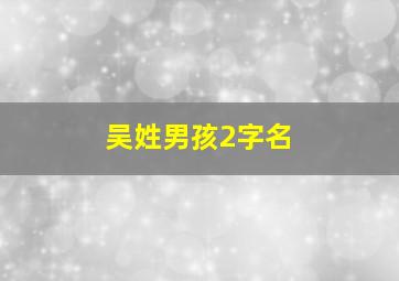 吴姓男孩2字名