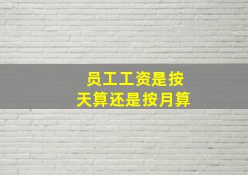 员工工资是按天算还是按月算