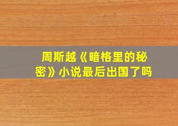 周斯越《暗格里的秘密》小说最后出国了吗