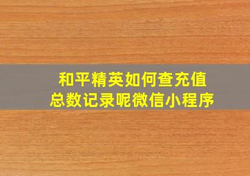 和平精英如何查充值总数记录呢微信小程序