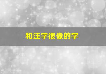 和汪字很像的字