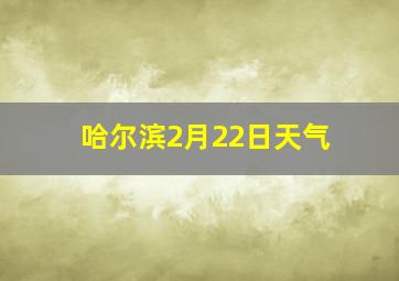 哈尔滨2月22日天气