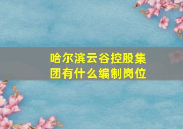 哈尔滨云谷控股集团有什么编制岗位