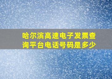 哈尔滨高速电子发票查询平台电话号码是多少