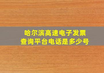 哈尔滨高速电子发票查询平台电话是多少号