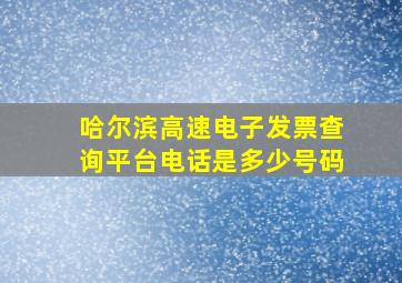 哈尔滨高速电子发票查询平台电话是多少号码