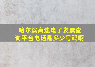 哈尔滨高速电子发票查询平台电话是多少号码啊