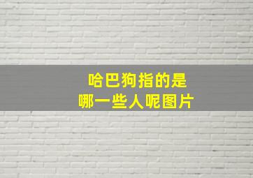 哈巴狗指的是哪一些人呢图片