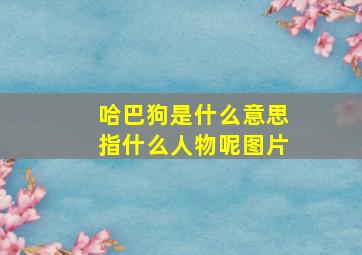 哈巴狗是什么意思指什么人物呢图片