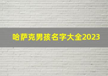 哈萨克男孩名字大全2023