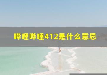 哔哩哔哩412是什么意思