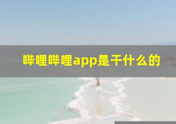 哔哩哔哩app是干什么的