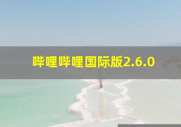 哔哩哔哩国际版2.6.0