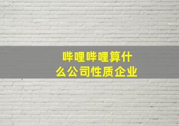 哔哩哔哩算什么公司性质企业