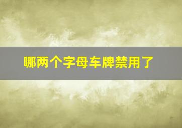 哪两个字母车牌禁用了