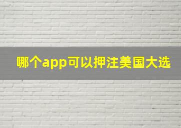 哪个app可以押注美国大选