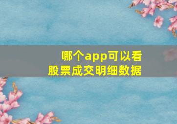 哪个app可以看股票成交明细数据