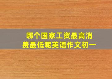 哪个国家工资最高消费最低呢英语作文初一