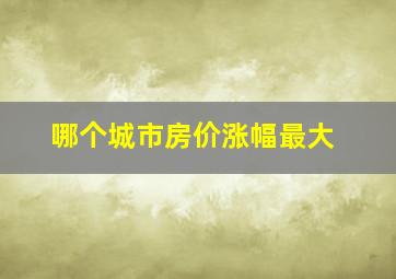 哪个城市房价涨幅最大