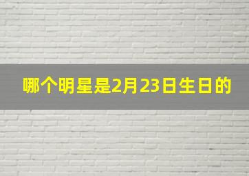 哪个明星是2月23日生日的