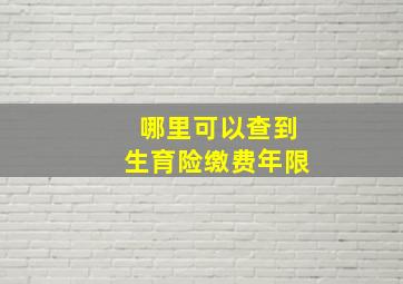 哪里可以查到生育险缴费年限