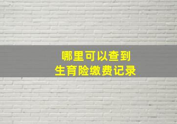 哪里可以查到生育险缴费记录