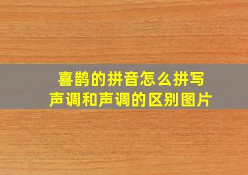 喜鹊的拼音怎么拼写声调和声调的区别图片